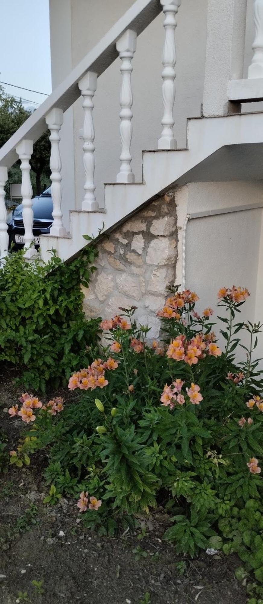 Apartmani Gero لوبار المظهر الخارجي الصورة