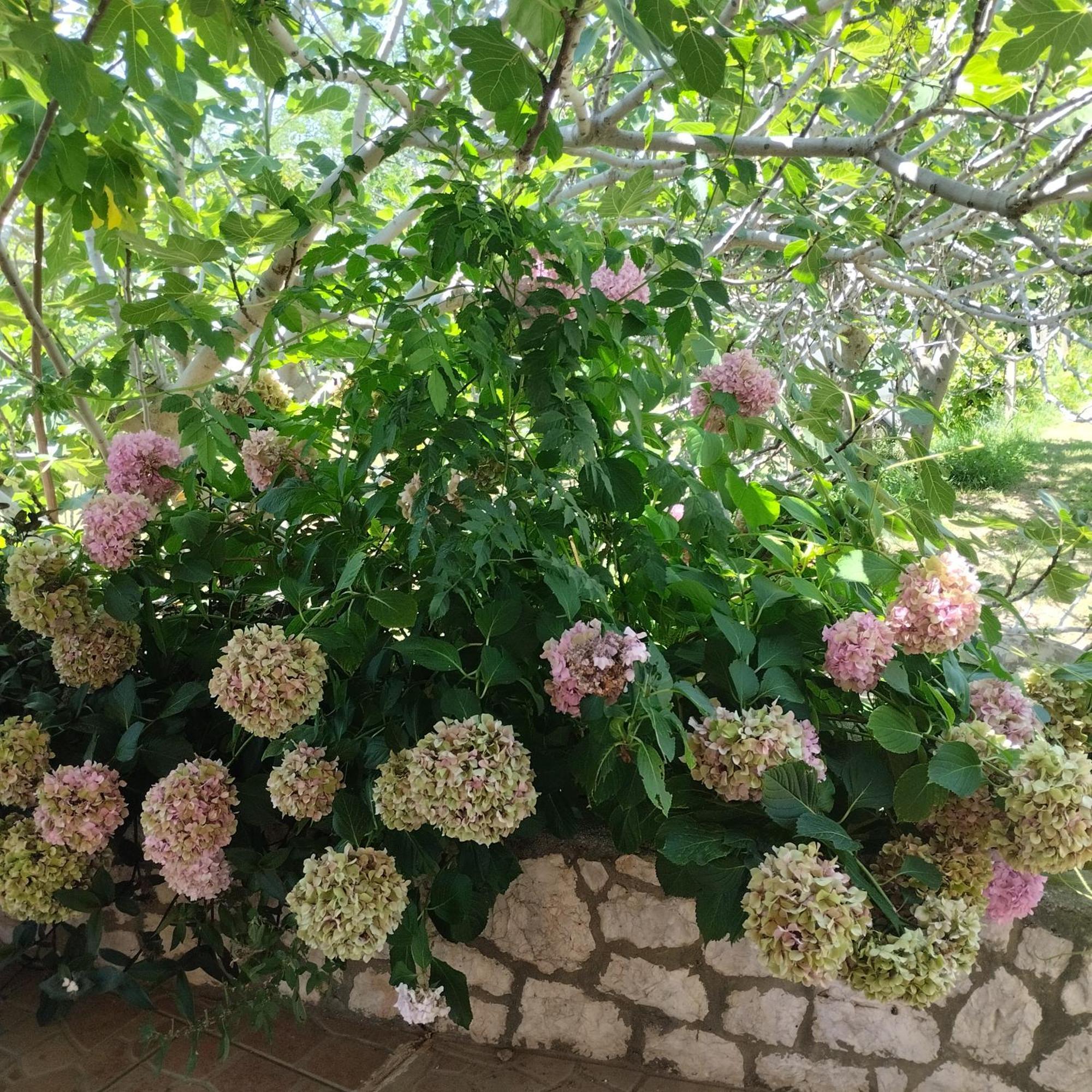 Apartmani Gero لوبار المظهر الخارجي الصورة